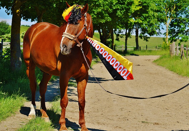 罗伊斯因其 罗伊斯因其