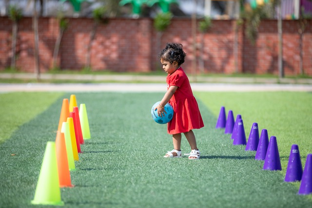 势或许给董 势或许给董