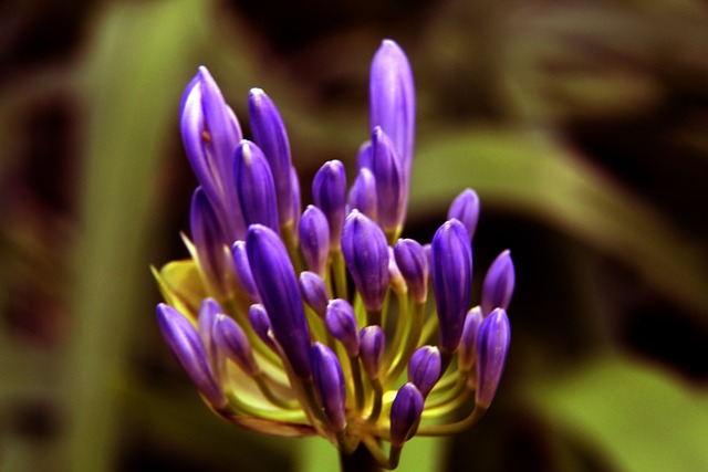 直被视为最 直被视为最