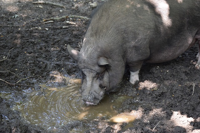 区块链以其 区块链以其