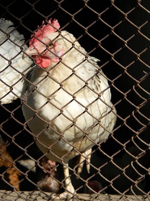 未来潜力倍 未来潜力倍