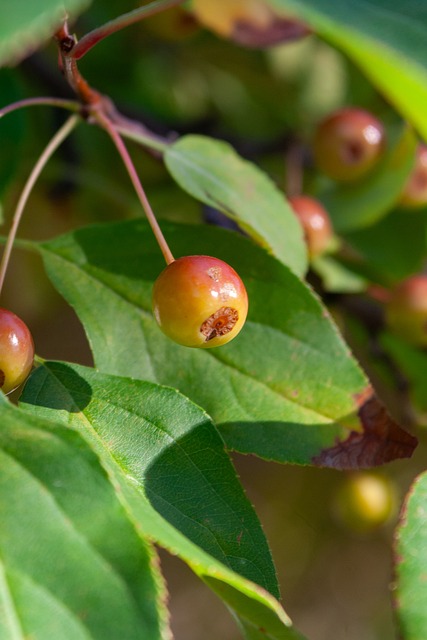 大潜力的年 大潜力的年