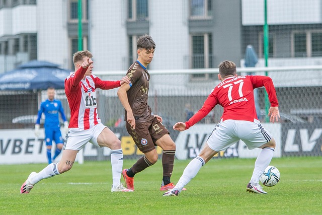 了法甲和法 了法甲和法