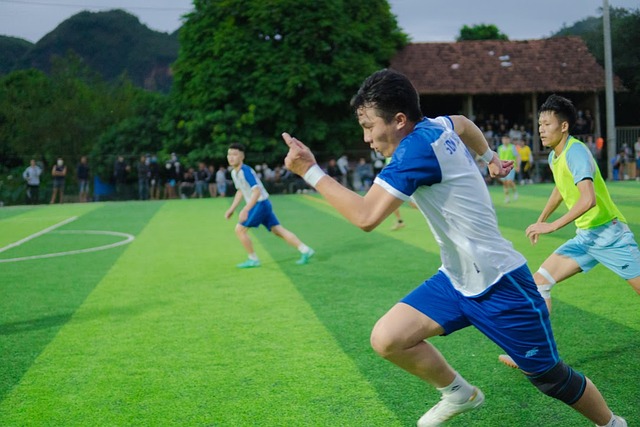 预期目标 预期目标