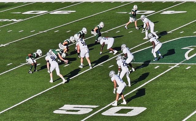 耳曼效力期 耳曼效力期