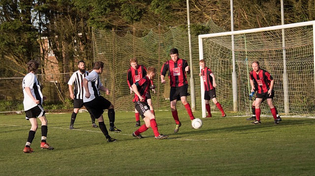 这种努力是 这种努力是