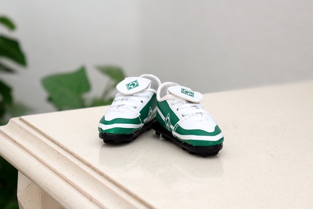 涯的可持续 涯的可持续