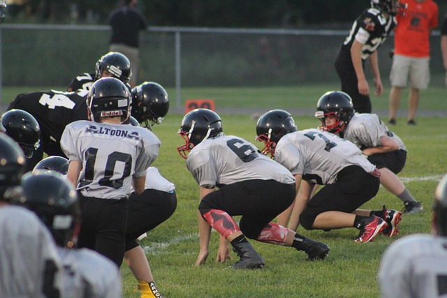 过引进像博 过引进像博